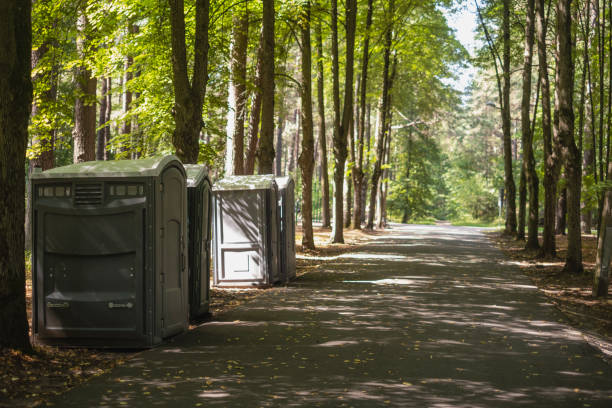 Best Sanitation services for porta potties  in Hometown, IL